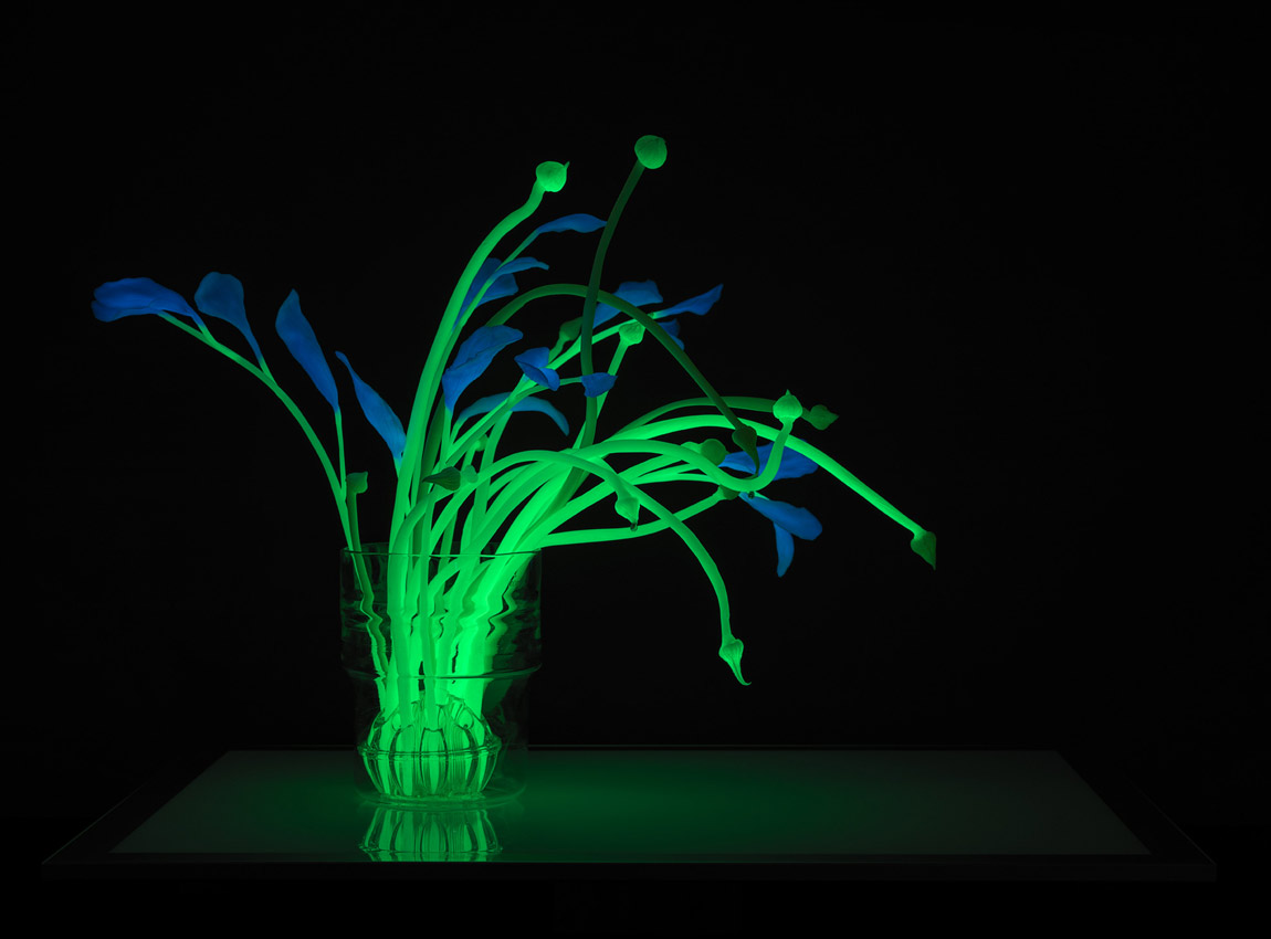 Glowing plant light sculpture by Catherine Truman