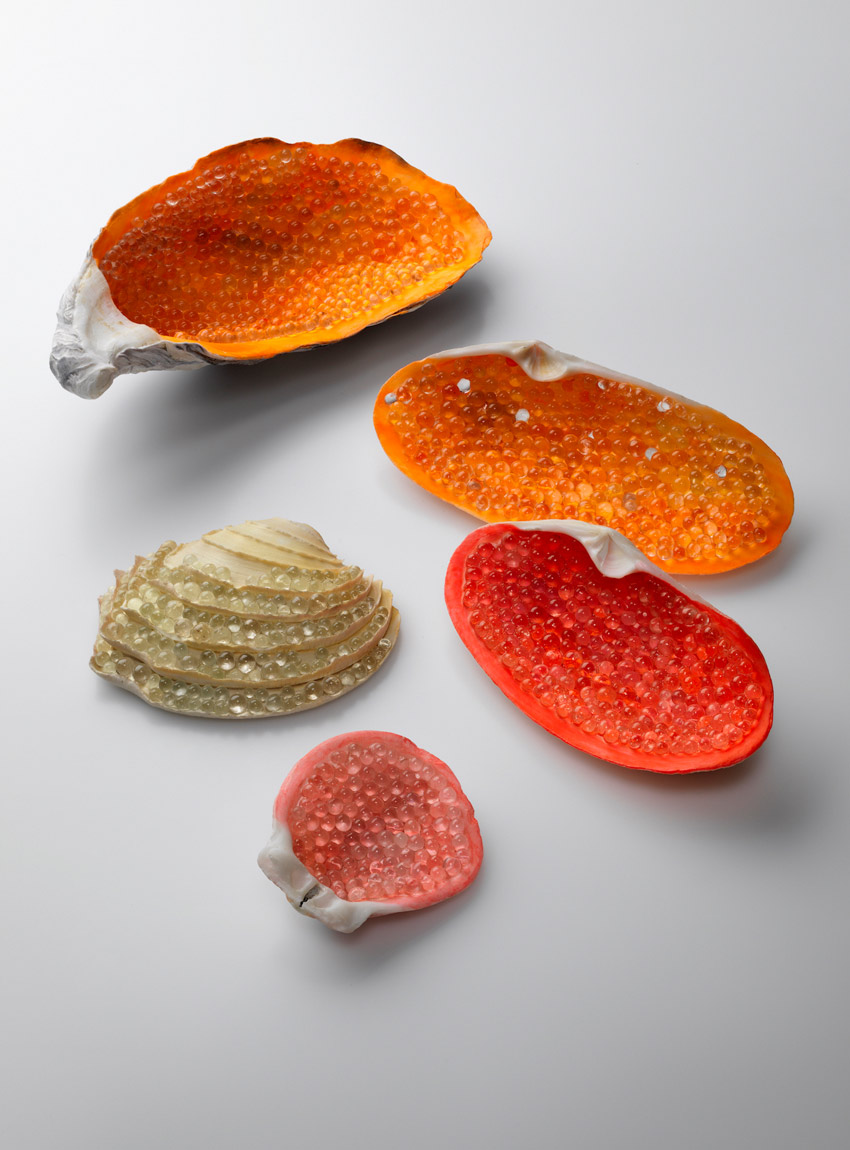Shell jewellery by Catherine Truman
